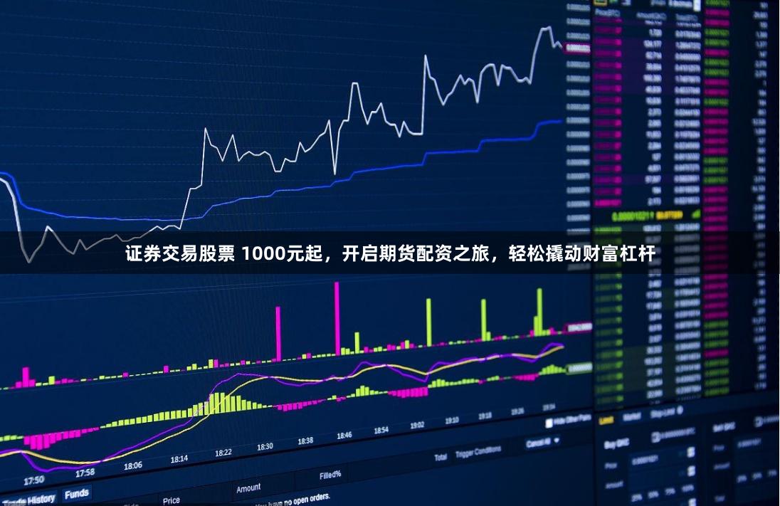 证券交易股票 1000元起，开启期货配资之旅，轻松撬动财富杠杆